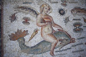 Immagine sconosciuta da Unbekannt Unbekannt